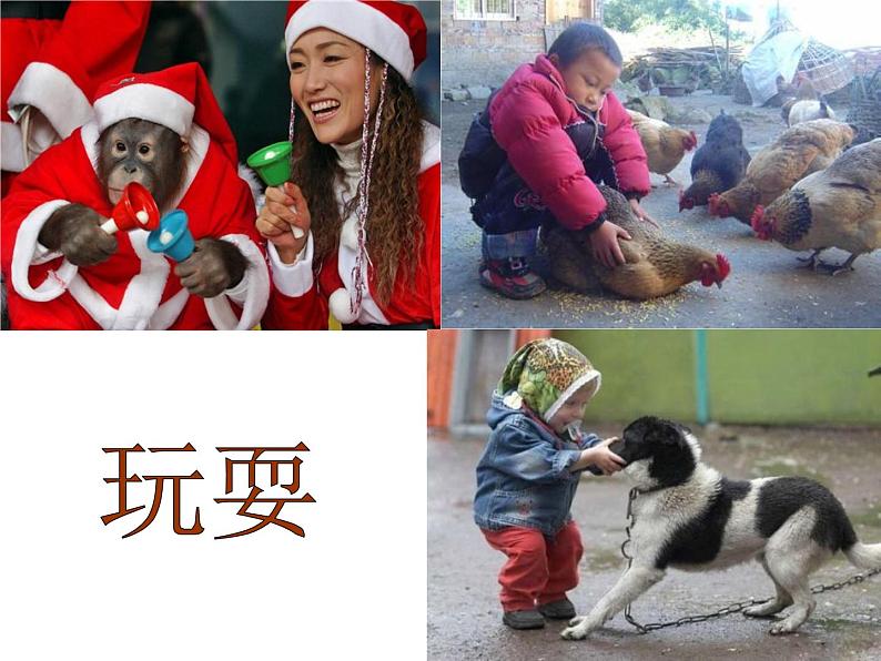 6 我和动物交朋友 课件第6页