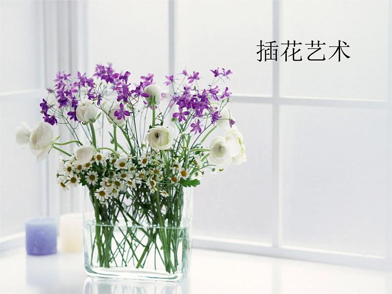 桂美版六年级下册 美术 课件 6.插花艺术(31张幻灯片)第1页