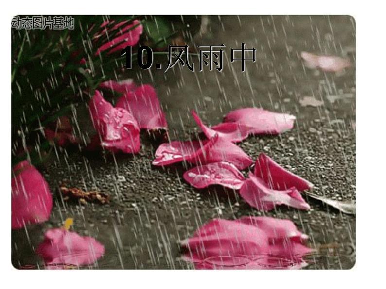 桂美版 三年级下册美术 第十课 风雨中|课件(18张PPT)第2页