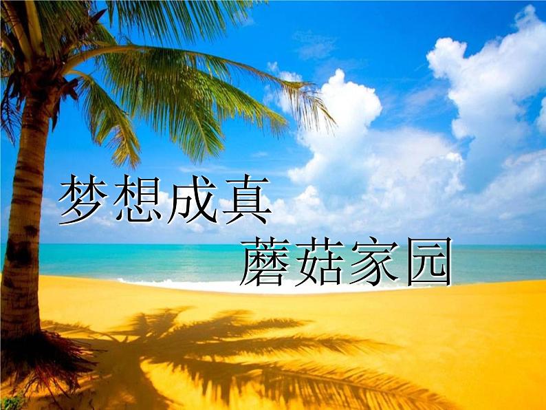 桂美版四年级下册 美术 6《梦想成真》 课件第2页