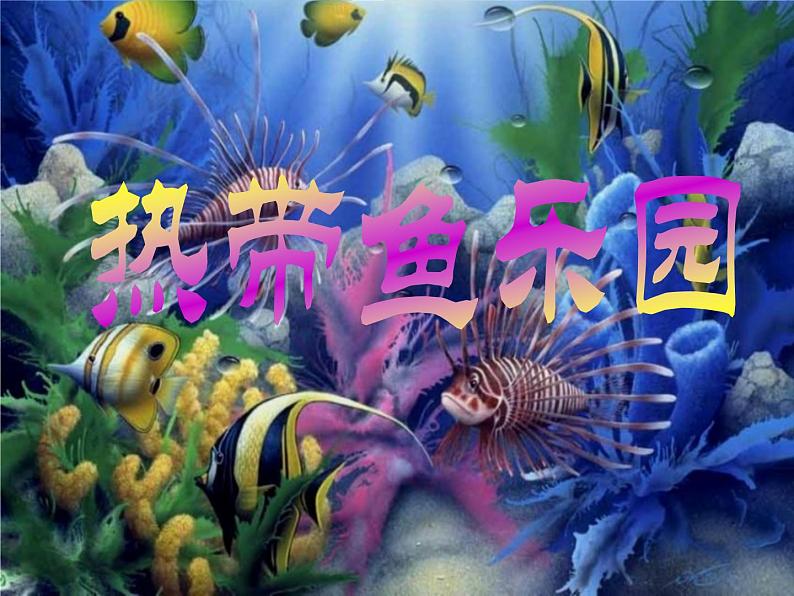 15 热带鱼乐园 课件 (3)第2页