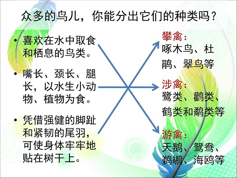 人美版美术二年级下册 第19课 我喜欢的鸟(课件)02