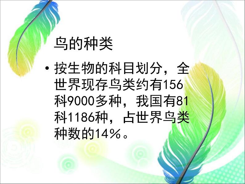 人美版美术二年级下册 第19课 我喜欢的鸟(课件)05