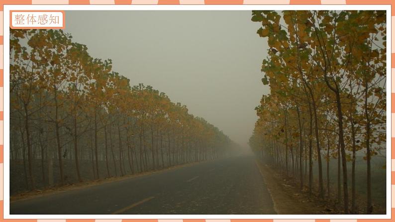 第三课《远去的路》课件PPT+教案07