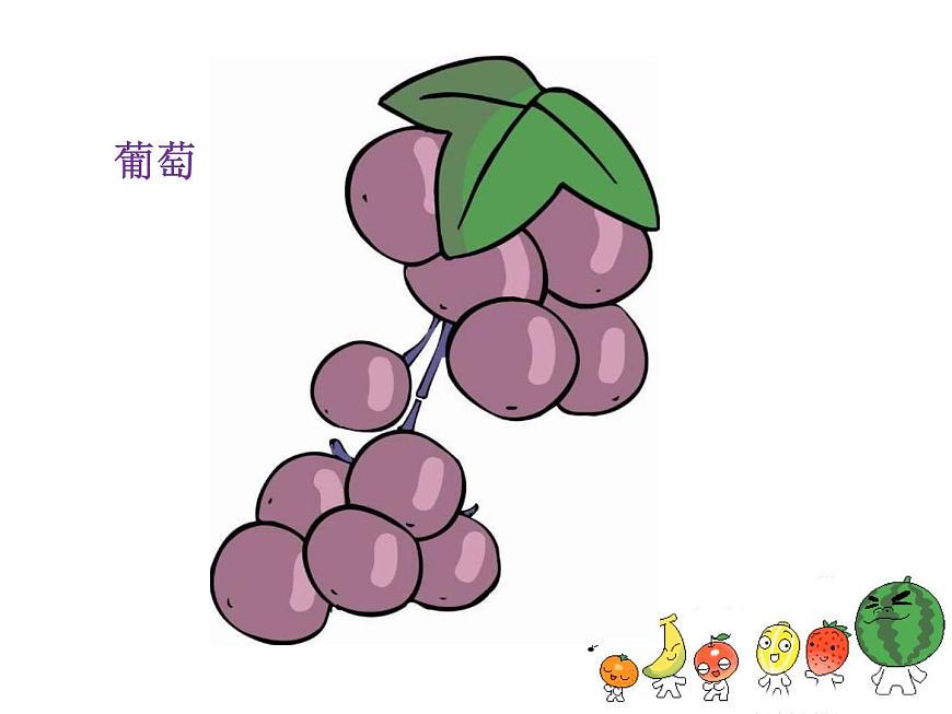 《好吃的水果》課件1第4頁