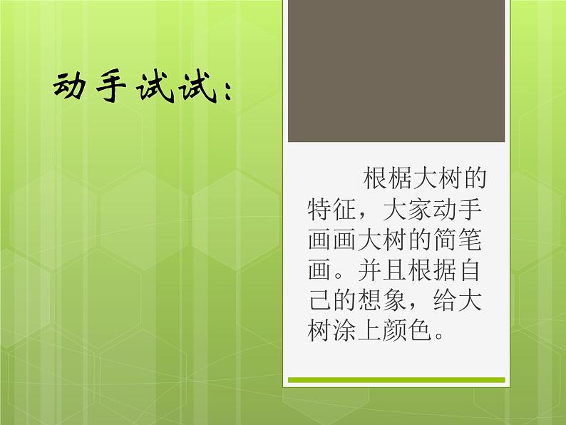 《大树的故事》课件3第5页