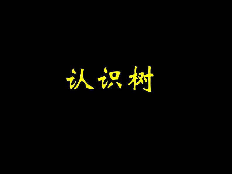 认识树第1页