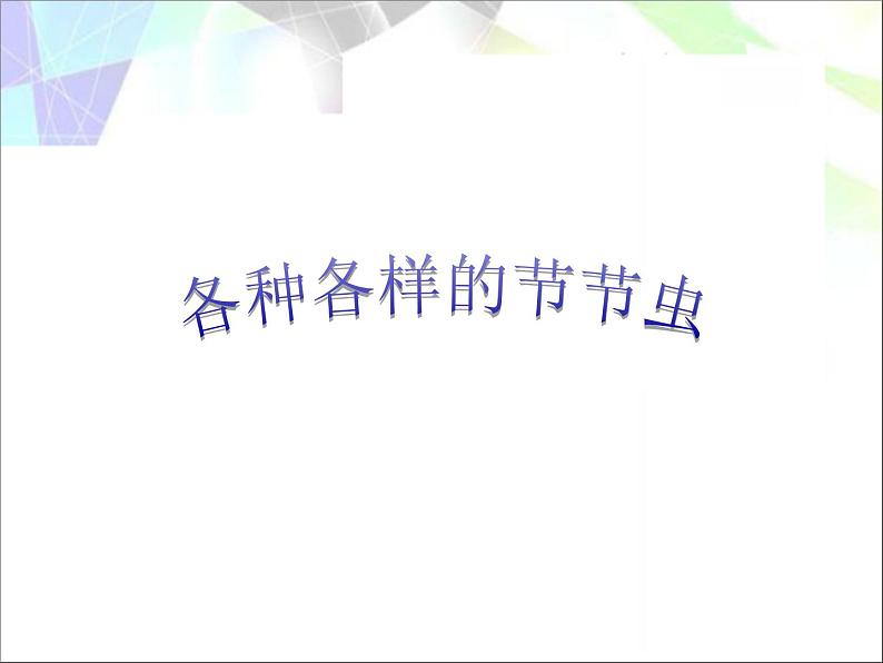 各种各样的节节虫第1页