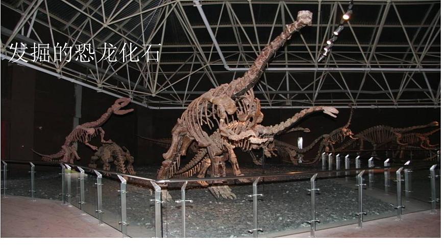 人美版三年級(jí)下冊(cè)美術(shù) 1.恐龍世界 課件(共15張PPT)第2頁(yè)