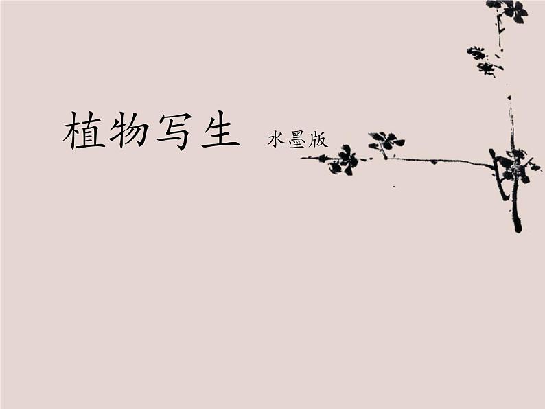 人美版小学美术四年级下册《植物写生》名师课件(10ppt)第1页
