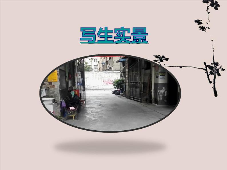 人美版小学美术四年级下册《植物写生》名师课件(10ppt)第2页