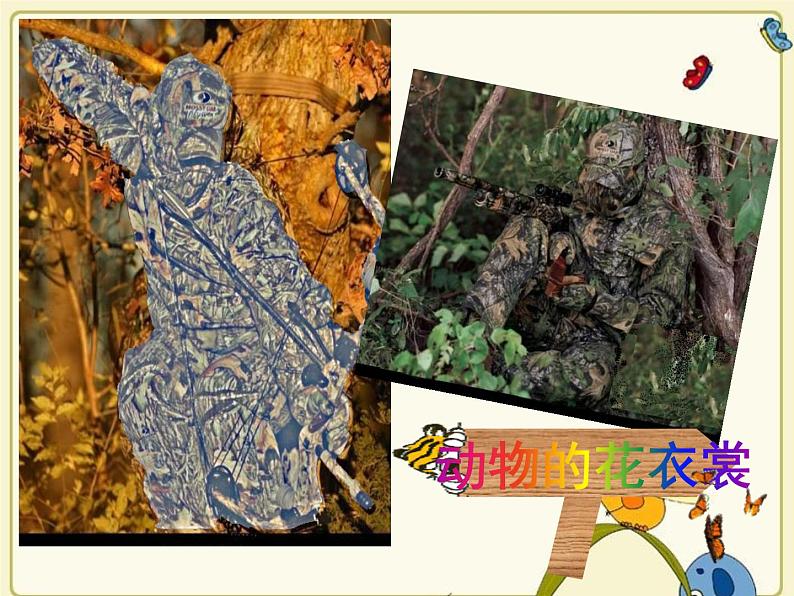 动物的花衣裳(课件) 美术三年级下册 (17ppt)第2页