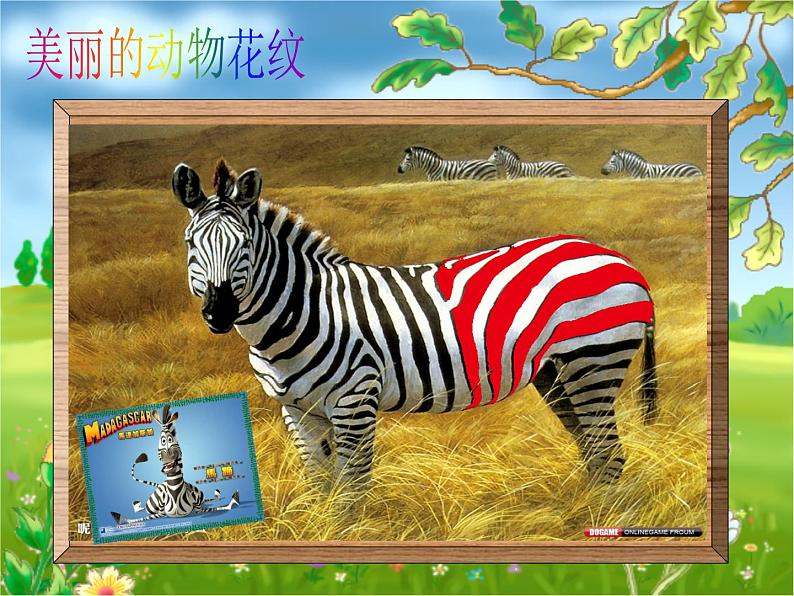 动物的花衣裳(课件) 美术三年级下册 (17ppt)第6页