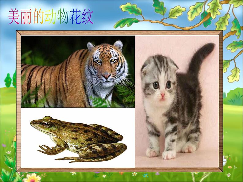 动物的花衣裳(课件) 美术三年级下册 (17ppt)第7页