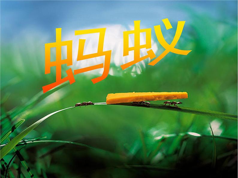 一年级上册美术课件-第10课 勤劳的小蚂蚁 ▏人美版 (北京) (19张PPT)04
