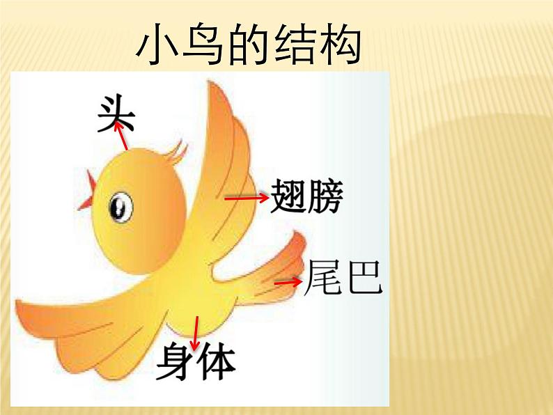 一年级下册美术课件 第五课 快乐的小鸟|岭南版第2页