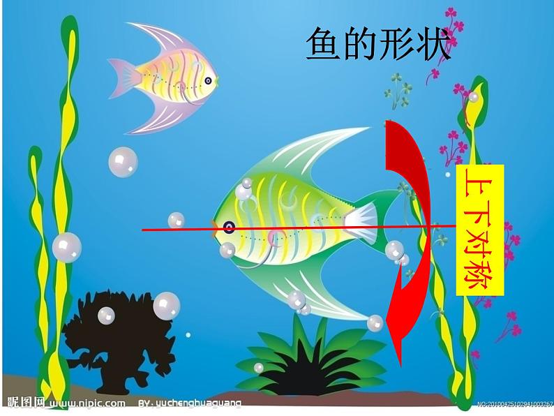 一年级下册美术课件 第二课 海底世界多奇妙|岭南版 (12张PPT)第4页