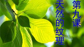 人教版三年级上册第9课 天然的纹理课文内容ppt课件