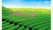 湘美版一年级上册第3课 田野的色彩图片课件ppt