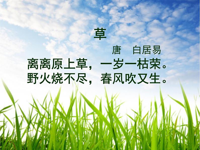 二年级下册美术课件-第9课 小草小草我爱你|辽海版02