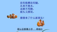 小学美术浙美版一年级下册15 热带鱼乐园课堂教学ppt课件