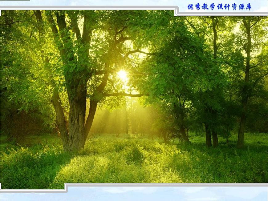 小學(xué)美術(shù)人教版二年級(jí)下冊(cè)第12課小鳥的家 1 課件第4頁