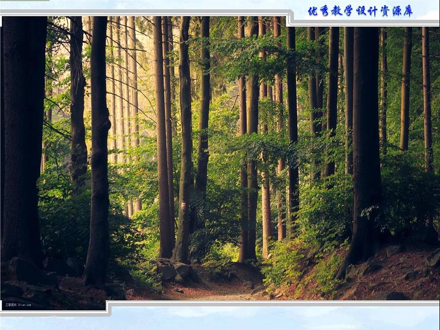 小學(xué)美術(shù)人教版二年級(jí)下冊(cè)第12課小鳥的家 1 課件第5頁