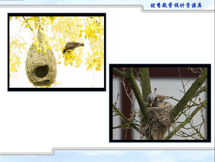 小學(xué)美術(shù)人教版二年級(jí)下冊(cè)第12課小鳥的家 1 課件第8頁