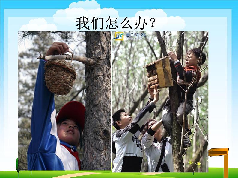 小学美术人教版二年级下册第12课小鸟的家 课件第3页