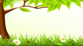 美术二年级下册6.节节虫课文ppt课件