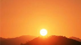 人美版四年级下册14.艳丽的大公鸡示范课ppt课件