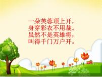 小學(xué)美術(shù)人美版四年級下冊14.艷麗的大公雞教課內(nèi)容課件ppt
