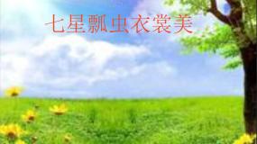 小学美术辽海版二年级下册第6课 七星瓢虫衣裳美课文课件ppt