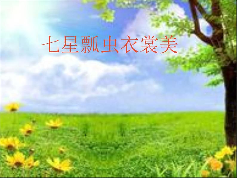 二年级下册美术课件-第6课 七星瓢虫衣裳美|辽海版 (1)第1页