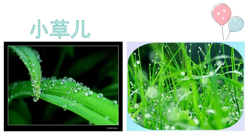 湘美版美术一年级下册 1. 小雨沙沙(3)(课件)03