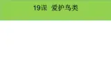 二年级下册美术课件－19爱护鸟类 ｜广西版