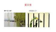 小学美术桂美版二年级下册14 夏日里课文内容课件ppt