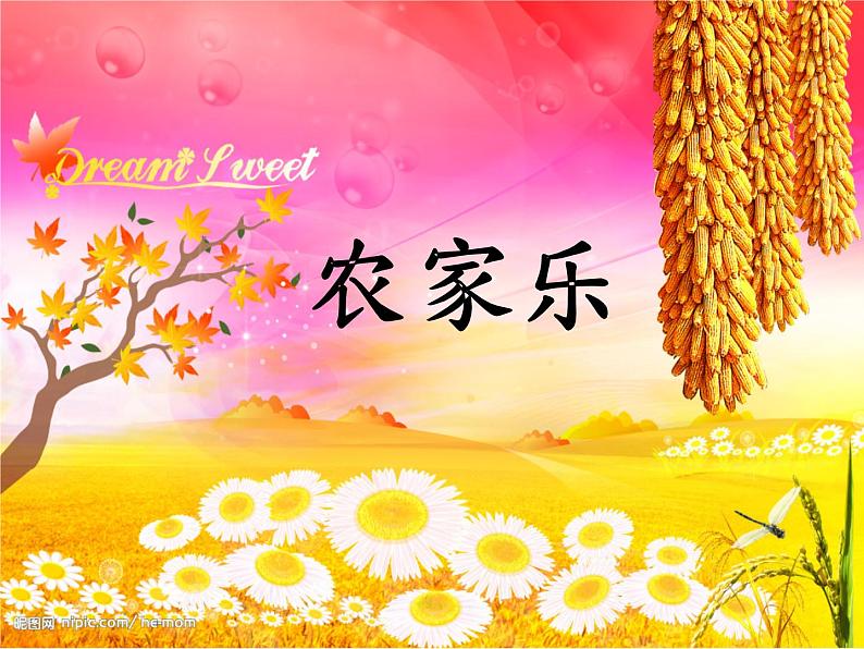 4《农家乐》 课件01