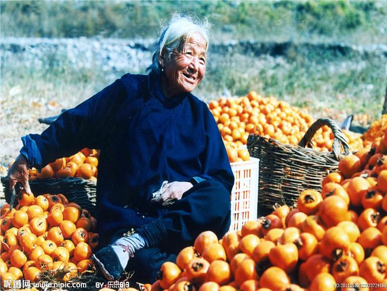 4《农家乐》 课件07