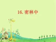 16密林中  课件