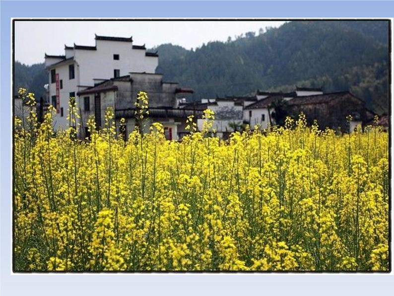 8春天在哪里 课件第2页