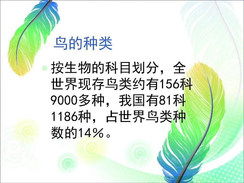 19我喜欢的鸟 课件05