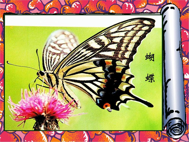 二年级下册美术课件-14.虫虫虫(一)|苏少版第3页