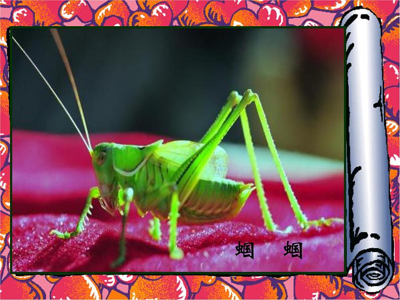 二年级下册美术课件-14.虫虫虫(一)|苏少版第7页