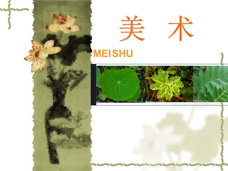 二年级下册美术课件-13.会变的花、树、叶|苏少版第1页