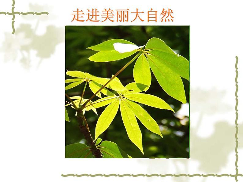 二年级下册美术课件-13.会变的花、树、叶|苏少版第3页