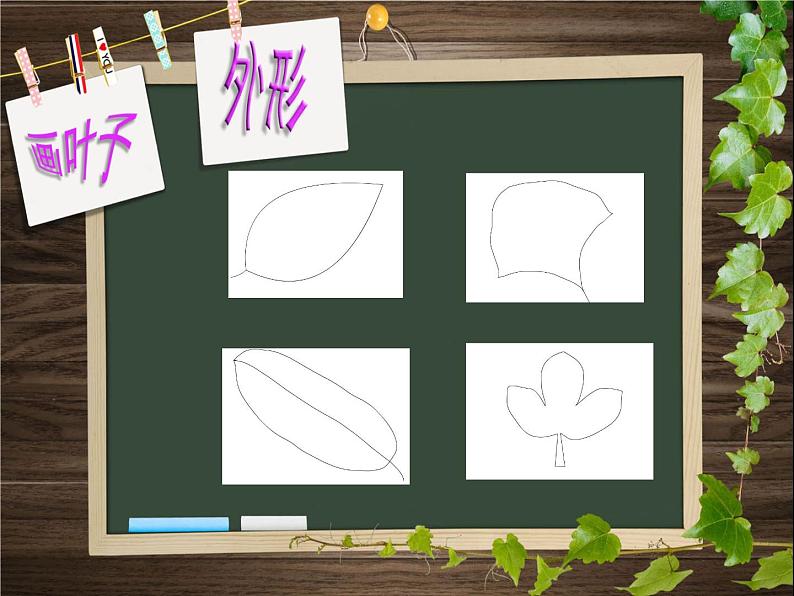 二年级下册美术课件-13.会变的花、树、叶|苏少版第4页