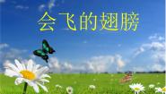 小学美术湘美版一年级下册第15课 会飞的翅膀课文配套ppt课件