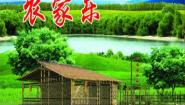 小学美术湘美版三年级下册第13课 农家乐说课课件ppt