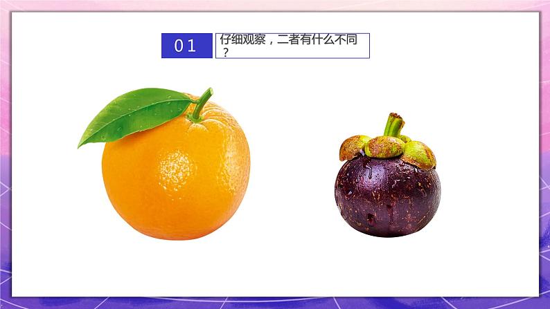 人教版美术5上1课《色彩的对比》课件+教案03